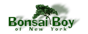 Bonsai Boy of New York Return Policy